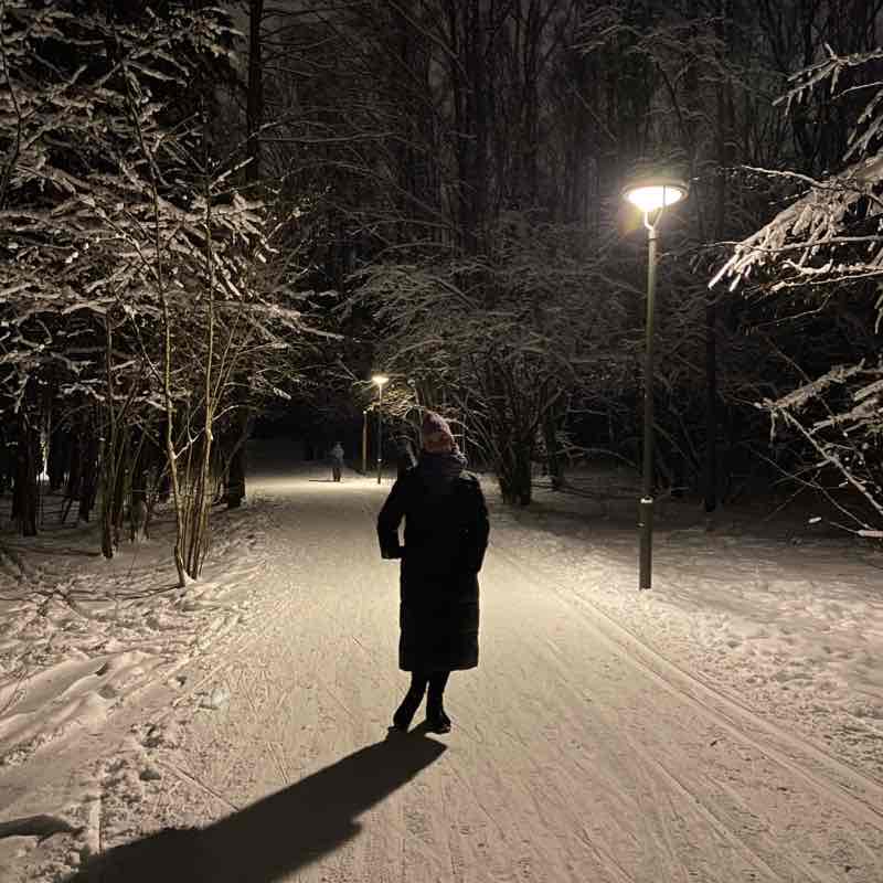 Мещерский парк