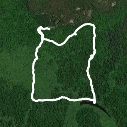 Congaree National Park Boardwalk