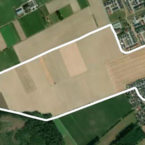 Feld1