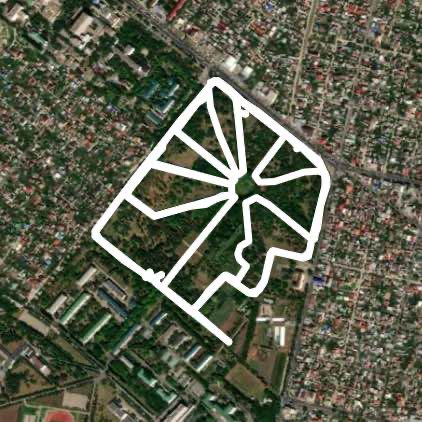 По следам белок