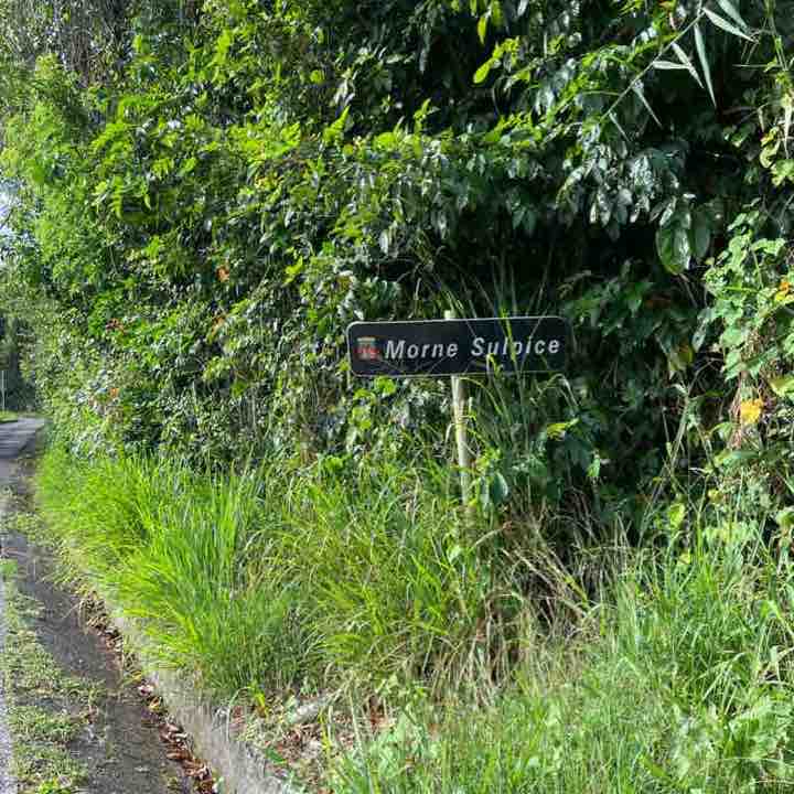 Le parcours de Tatie D