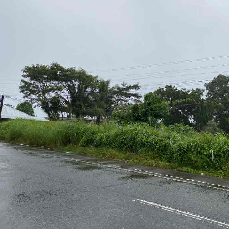 Virtual Run : Road to 100km