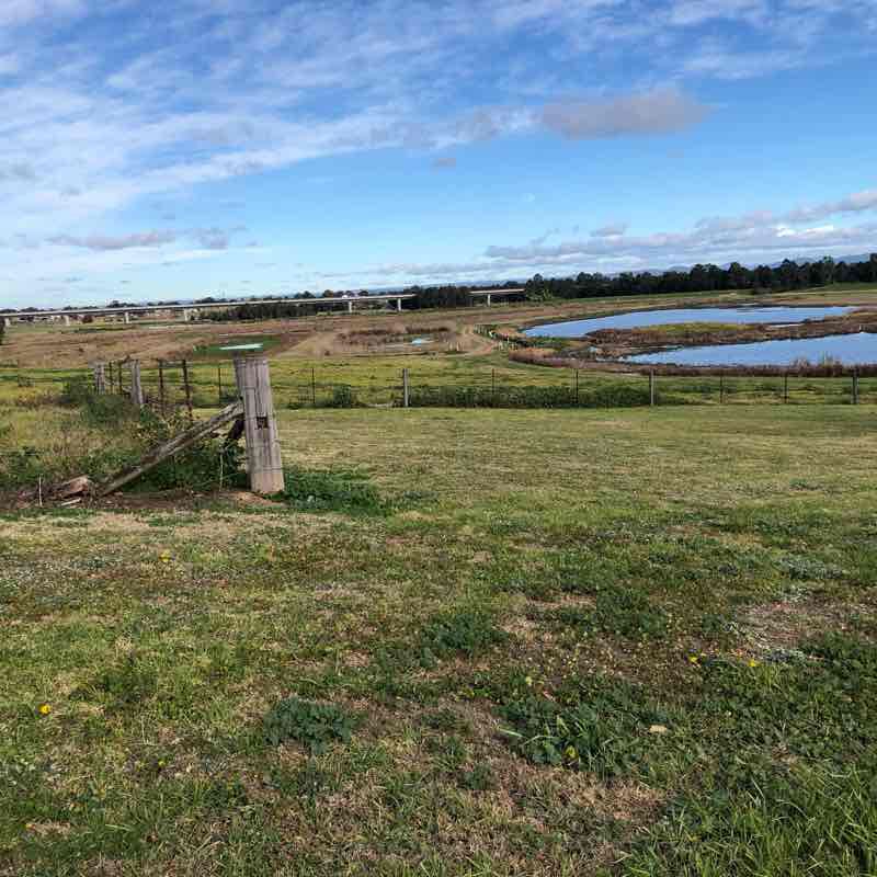 Windsor walk walking route map in McGraths Hill
