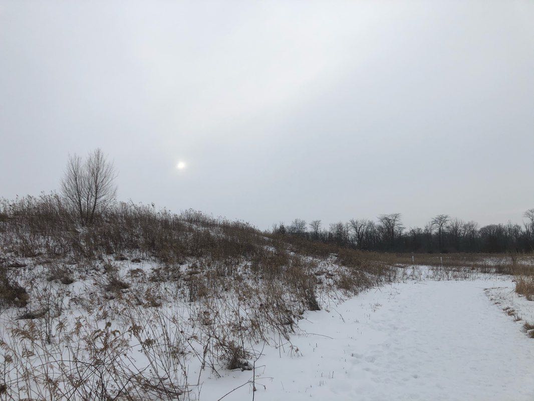 walking near me in Blues Creek Park in winter
