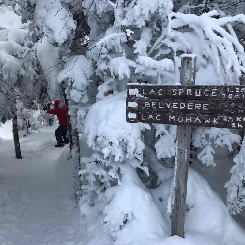Sutton lac spruce et round top