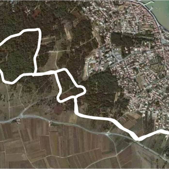 5km loop in the forest walking route map in Rivedoux-Plage