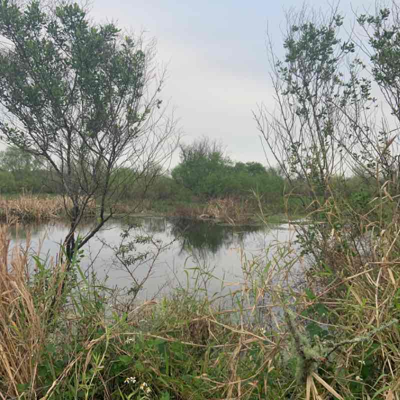 Circle B preserve
