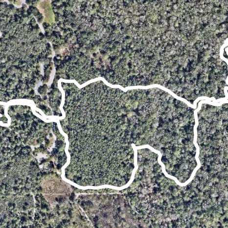 Nature trail near playground