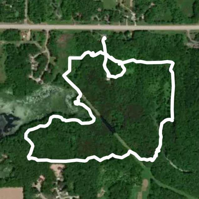 Lillian Anderson Arboretum