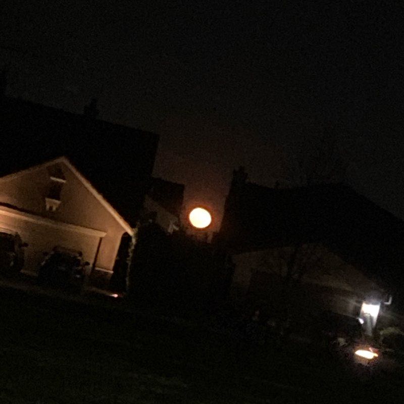 Snyder-McKinney Colony Park