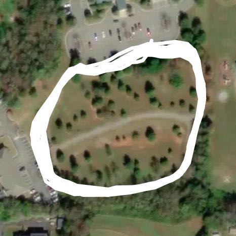 Forest Public Library