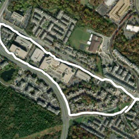 Sunset walk with neighbors