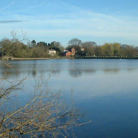 Earlswood Lakes and Nature Reserve