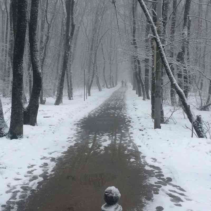 Тропа Здоровья