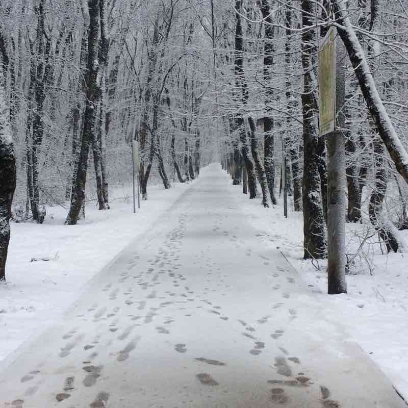 Тропа здоровья