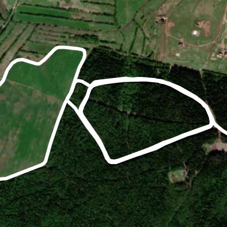 Сыктывкар «Динамо»