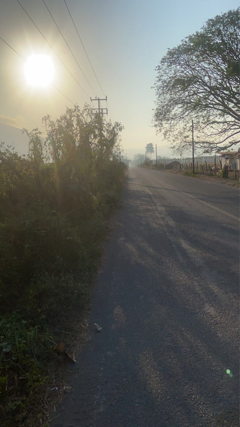 walking near me in Parque Metropolitano de Tecoman in winter
