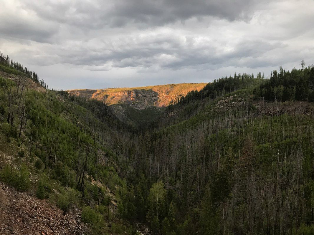 walking near me in Myra-Bellevue Provincial Park in winter