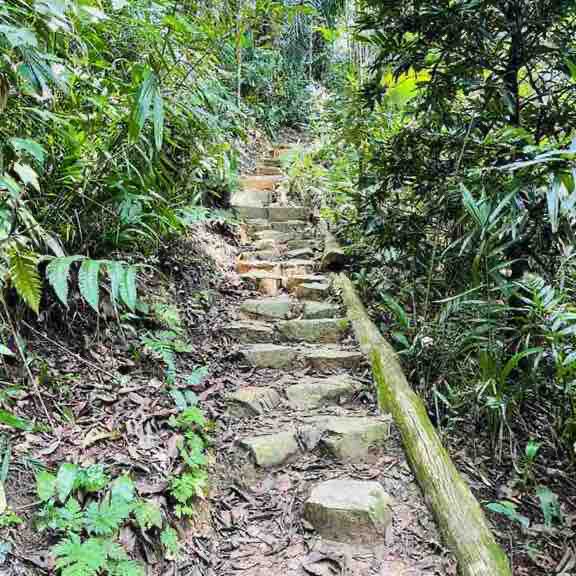 Taman Tungu Trail