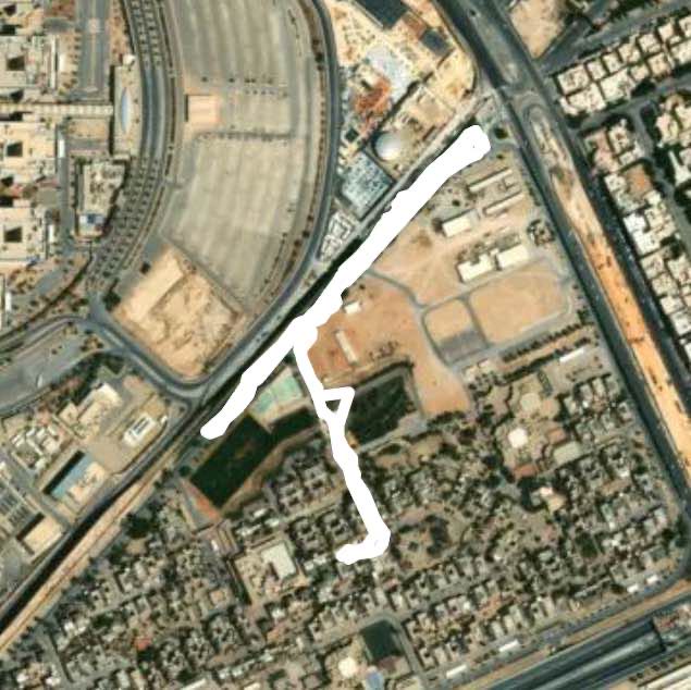 Area 11