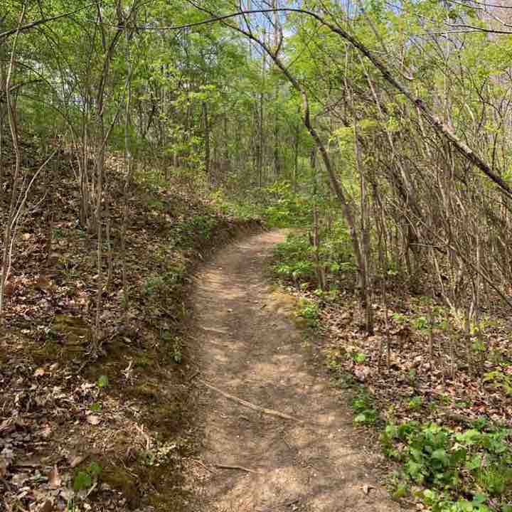 Schoen Creek Trail