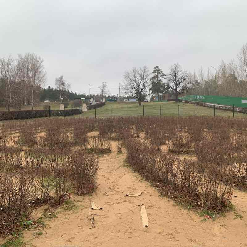 Labyrinth fulfills wishes walking route map in Tolyatti