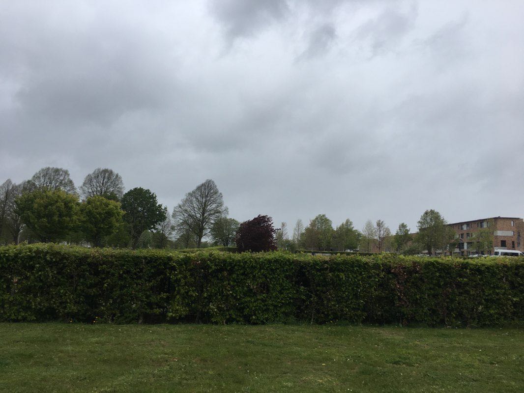 walking near me in Viegenpark in winter