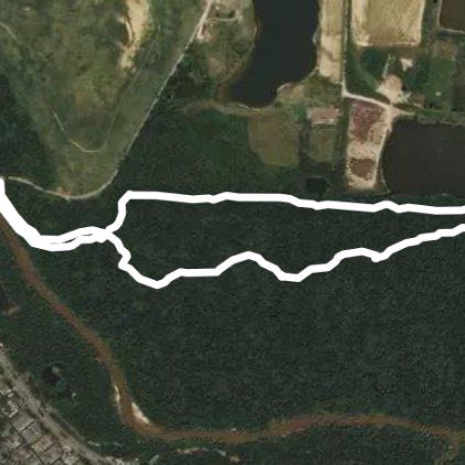 White then Blue return