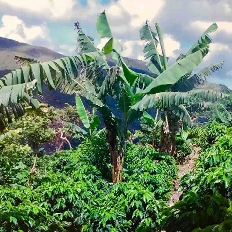 Tip 2 walking route map in Punta Cana