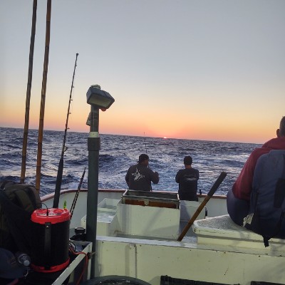 cybersarj ♎💜 post 3