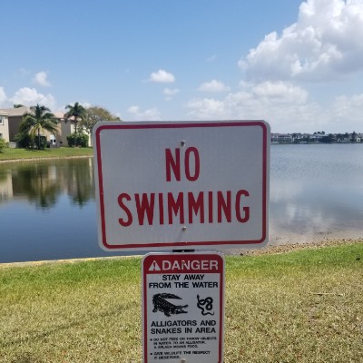 Carol Martin 🇺🇸 post 1