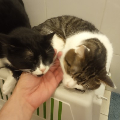 Alexey🇷🇺 post 1