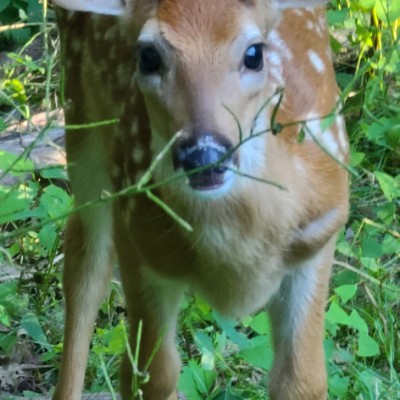 Matt S🏃‍♂️🏃‍♂️🏃‍♂️⏪🚶‍♂️ post 1