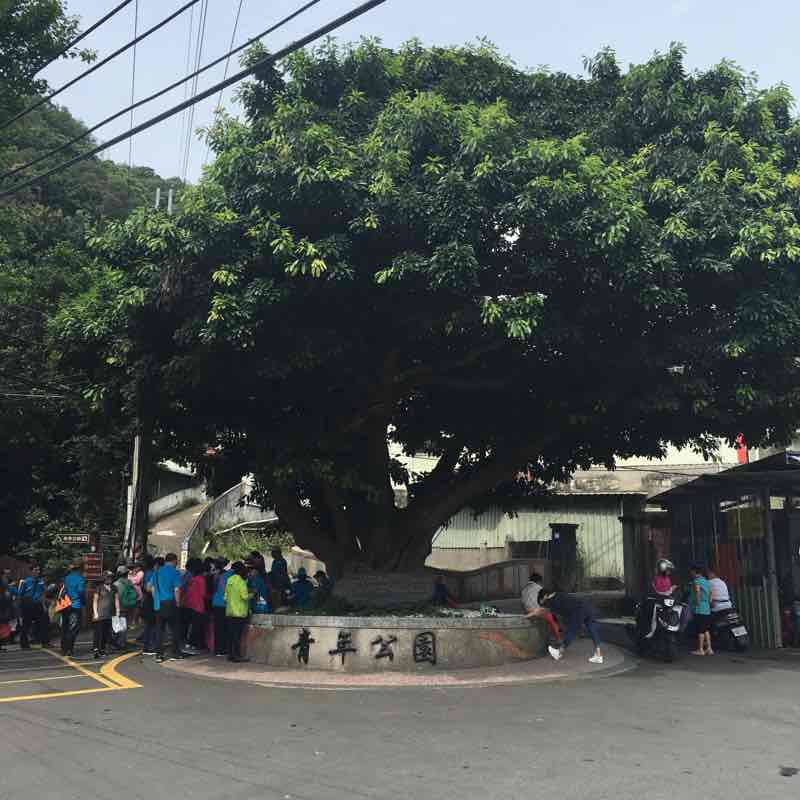 新莊青年公園野Run
