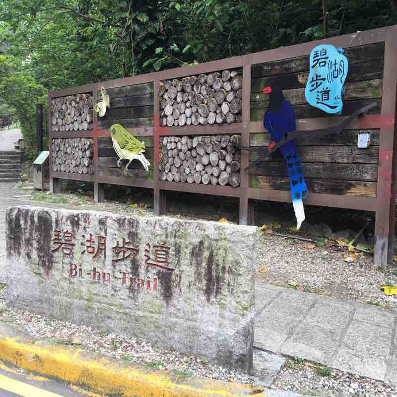 碧山步道圓覺瀑布野Run