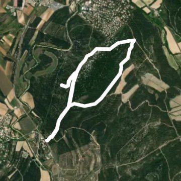 Dimanche après-midi