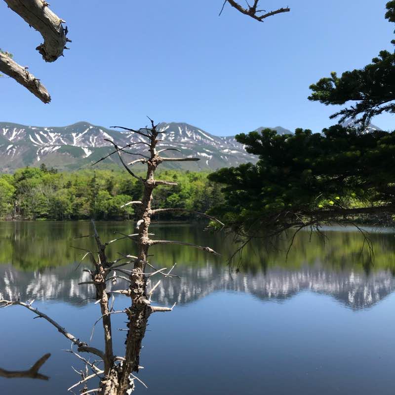 Shiretoko Five Lakes 知 床 五 湖 siretoko5kou walking route map in Shari