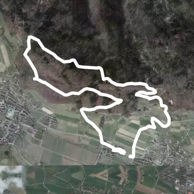Casual forest walk walking route map in Schöfflisdorf