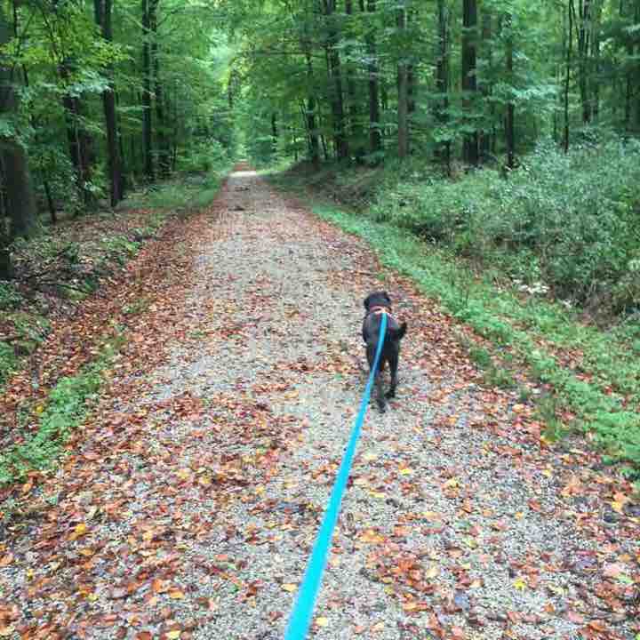 Small Sunday round walking route map in Ebrach