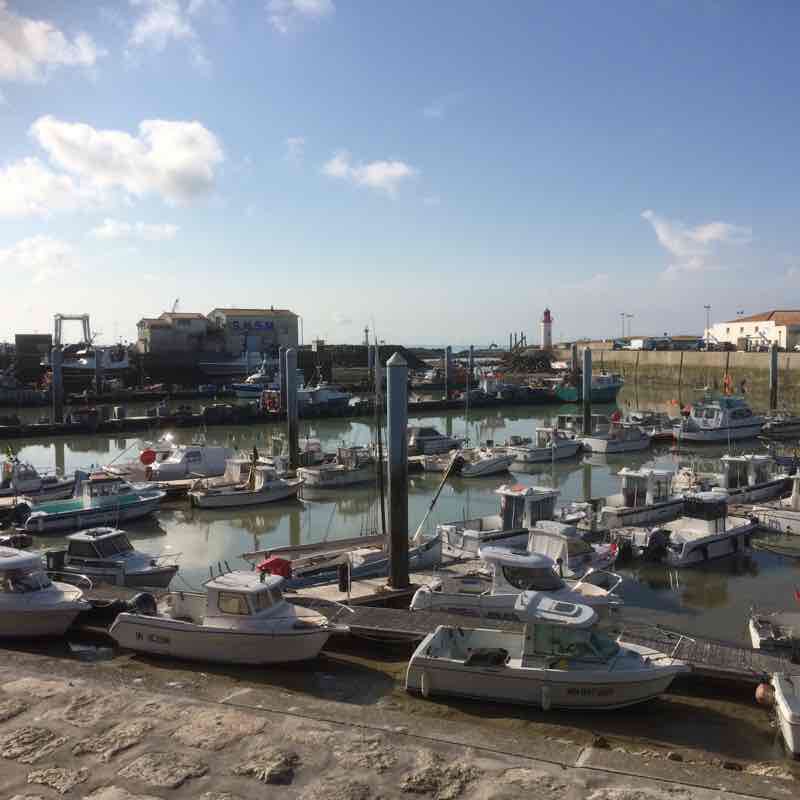 The cotiniere walking route map in La Brée-les-Bains