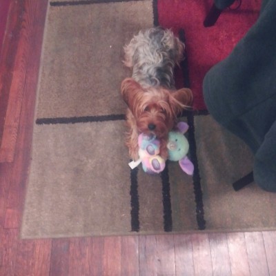 tenisha.page123 post 1