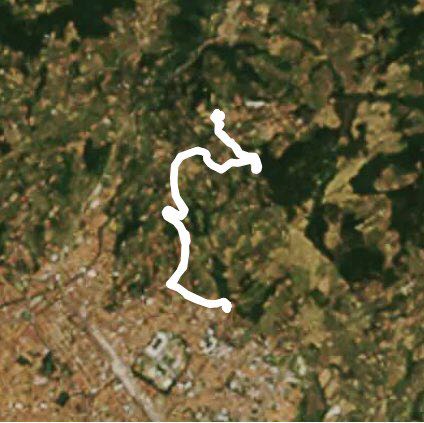 Fiesole 