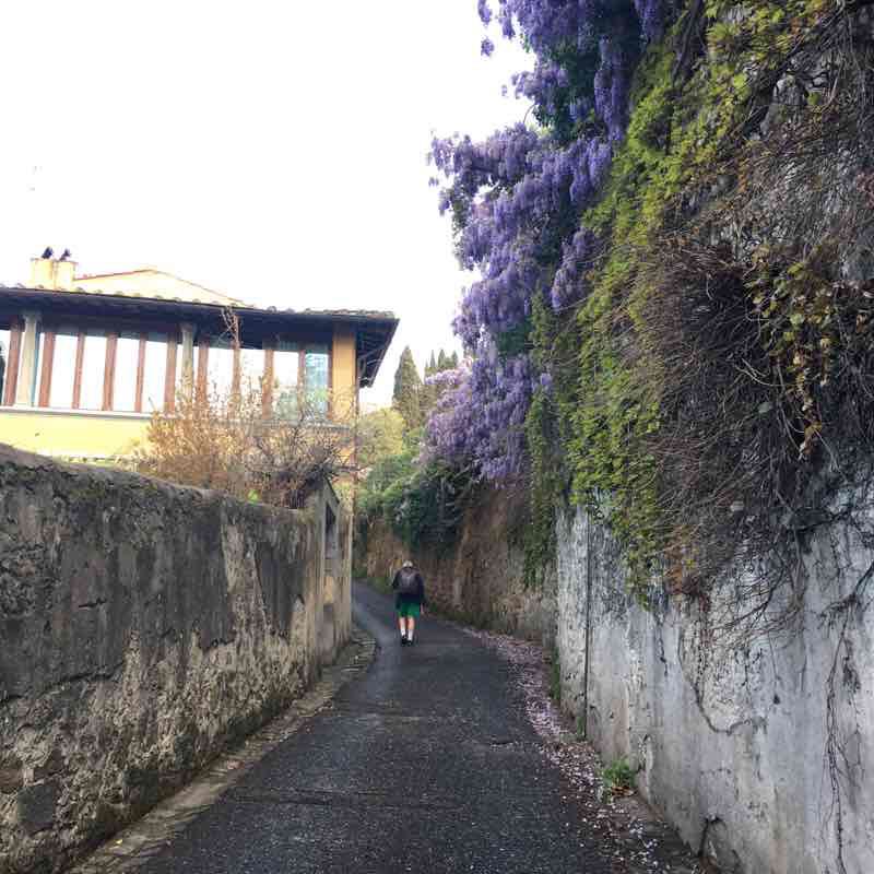 Fiesole 