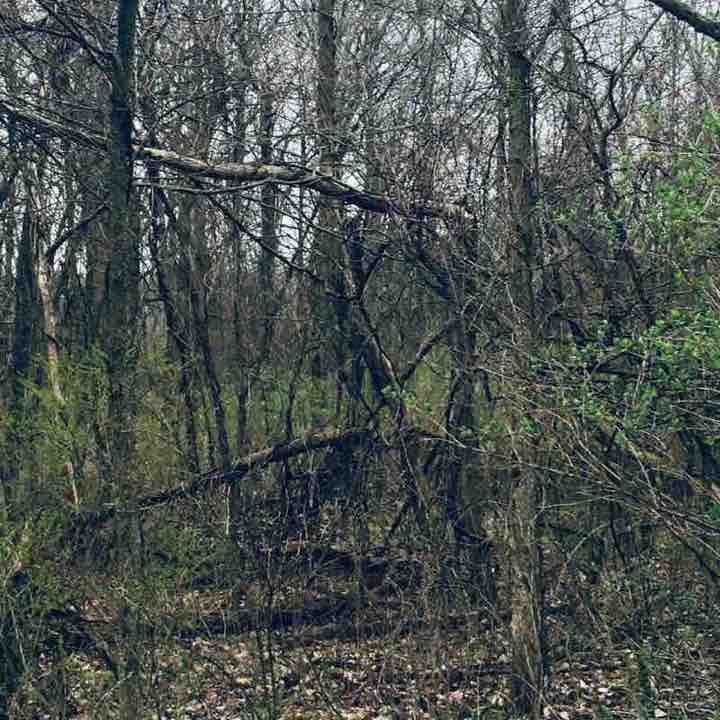 Home to white bridge river greenway