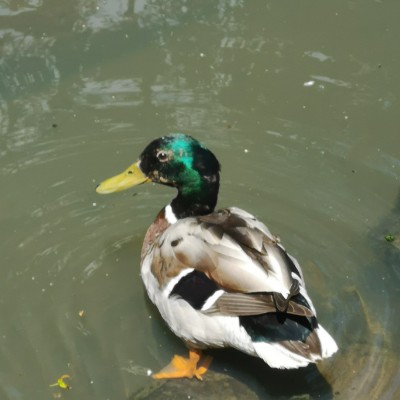 soniaharrison post 1