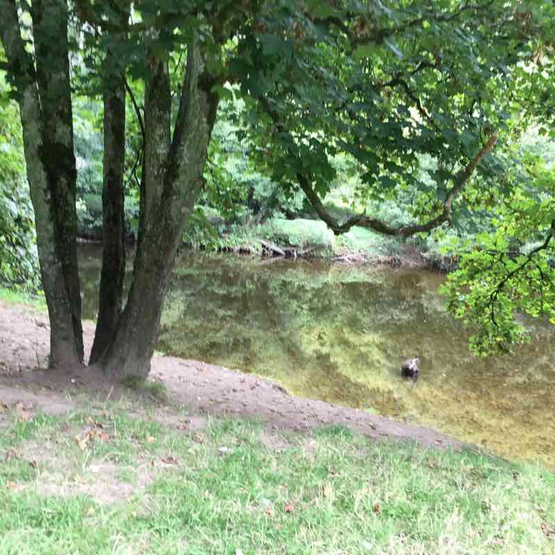 Dartington Deer Park Circular walking route map in Berry Pomeroy
