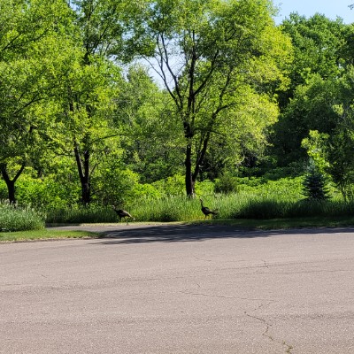 becky.iverson post 1