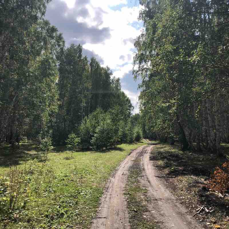 Walk through the woods walking route map in Yakty-Kul'