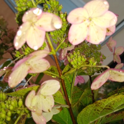 schmidtkatja14 post 2