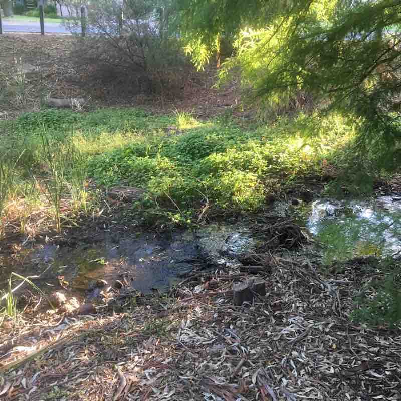 Waterfall Gully walking route map in Burnside